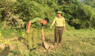 Bắc Giang nỗ lực cứu động vật hoang dã