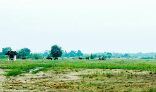 Tiếp vụ Chủ đầu tư thiệt hại, nhà nước thất thu hàng trăm tỷ đồng...":  Công văn Phó chủ tịch “địch” với quyết định của Chủ tịch!