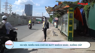 Hà Nội: Nhiều nhà chờ xe buýt nhếch nhác, xuống cấp