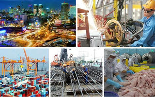 Tăng cường chống gian lận trong chuyển nhượng bất động sản, buôn lậu xăng dầu