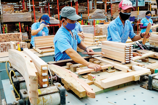 Giá trị xuất khẩu tăng nhưng ngành gỗ vẫn gặp nhiều khó khăn