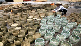 Ninh Bình: Nhanh chóng thực hiện gia hạn thuế, tiền thuê đất