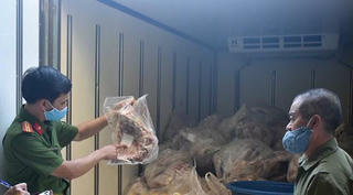 Thu giữ hơn 1 tấn thịt lơn bị biến đổi màu sắc được vận chuyển đi tiêu thụ