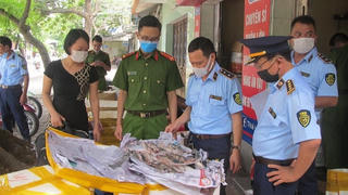 Phát hiện gần 500kg thực phẩm không rõ nguồn gốc, xuất xứ