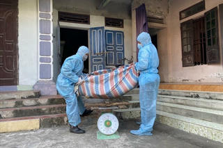 Ninh Bình: Phát hiện cán bộ thú y nâng khống trọng lượng lợn tiêu hủy do dịch để thu lợi bất chính