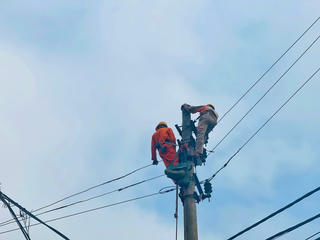 Điện lực Nam Định đẩy nhanh tiến độ dự án, kịp thời đáp ứng điện hè 2022