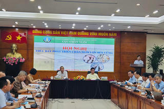 Tạo 'cú hích' thúc đẩy ngành chăn nuôi lợn phát triển bền vững