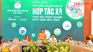 Liên kết để nâng cao chuỗi giá trị sản xuất nông nghiệp