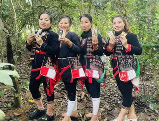 Hợp tác xã Nông nghiệp Dược liệu Phúc Hưng: Mang thành tựu Y học Cổ phương của người Dao phục vụ Cộng đồng