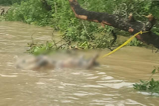 Phát hiện một thi thể nam giới trên sông Hậu