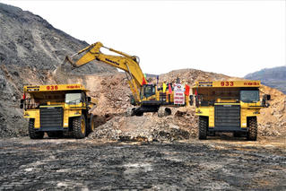 TKV: Kết quả hoạt động sản xuất kinh doanh tháng 01 và kế hoạch tháng 02 năm 2025 