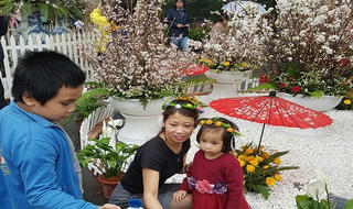 Hà Nội: Người dân thủ đô nô nức với lễ hội hoa anh đào 2017