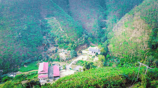 Mùa hoa trẩu trên Mã Yên Sơn
