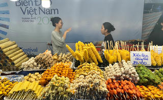 Dừng các hoạt động của “Festival Biển đảo Việt Nam” 