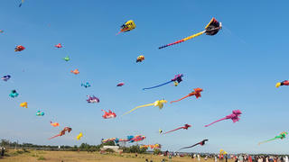 Bàu Trắng U&Me - điểm dừng chân lý tưởng khi đến Bình Thuận 