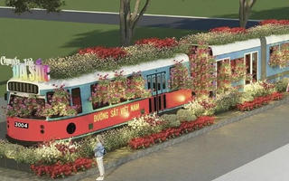 TP HCM tổ chức Festival hoa lan lần 3 