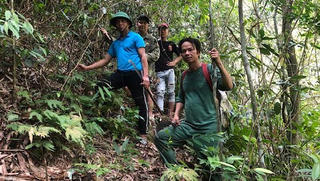 Chưa liên lạc được với 12 người đi rừng sau bão số 5