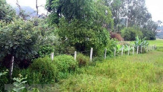 Quảng Trị kỷ luật nhiều cán bộ liên quan đến đất đai