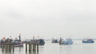 Vụ cá Bắc – Nặng trĩu nỗi lo mùa dịch