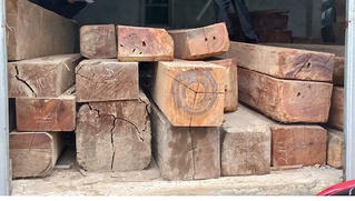 Thừa Thiên Huế: Phát hiện xe tải vận chuyển lâm sản trái phép