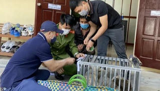 Bắt giữ đối tượng vận chuyển 4 cá thể tê tê quý hiếm