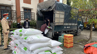 Huế: Bắt giữ xe chở động vật hoang dã và nhiều hàng hoá không rõ nguồn gốc