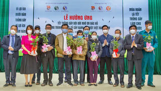 Trồng 5,6 triệu cây quế nhằm tạo sinh kế bền vững cho người dân