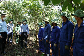 Đội 192 với hành trình đi tìm liệt sĩ