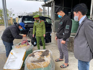 Thu giữ gần 2 tạ nội tạng bò không rõ nguồn gốc