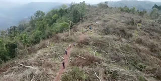 Vụ 18,6 ha rừng tự nhiên bị chặt hạ: Chủ tịch UBND tỉnh Quảng Trị chỉ đạo xử lý nghiêm
