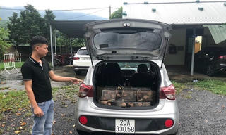 Quảng Trị: Phát hiện phương tiện vận chuyển 66 cá thể dúi không rõ nguồn gốc