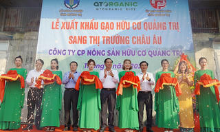 Lần đầu tiên gạo hữu cơ Quảng Trị xuất đi châu Âu với giá kỷ lục