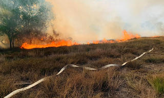 Khống chế thành công đám cháy tại rừng phòng hộ Quảng Trị