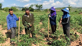Quảng Trị: Ưu tiên triển khai cấp đất ở, đất sản xuất cho đồng bào dân tộc thiểu số
