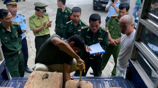 Phát hiện 2 xe ô tô chở 17 phách gỗ không rõ nguồn gốc