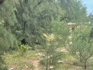 Phát hiện thi thể nam giới treo cổ trong rừng dương