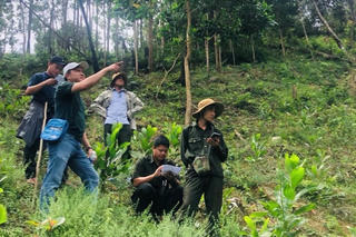 Thành phố Huế tập trung thực hiện tốt nguồn kinh phí giảm phát thải nhà kính