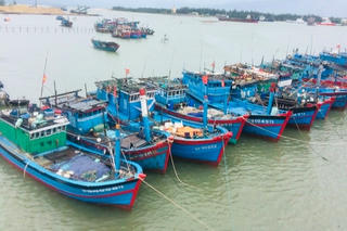 Quảng Trị hỗ trợ 630 triệu đồng cước thuê bao giám sát hành trình tàu cá