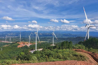 Chấm dứt chủ trương đầu tư 5 dự án điện gió chậm tiến độ tại Quảng Trị