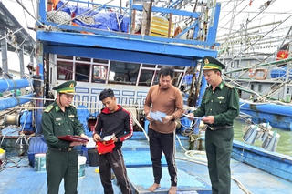 Quảng Trị nỗ lực chống khai thác IUU, hướng tới phát triển thủy sản bền vững