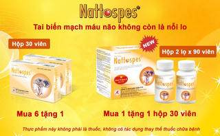 Tại sao người bị đột quỵ não nên sớm sử dụng Nattospes?
