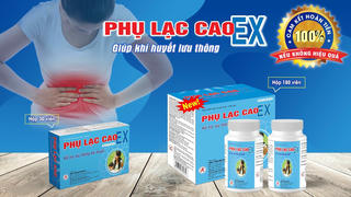 Lạc nội mạc tử cung là gì và giải pháp cải thiện hiệu quả từ Phụ Lạc Cao EX