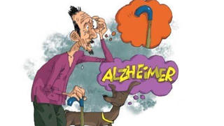 Alzheimer không nguy hiểm nếu bạn biết tới thảo dược này!