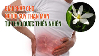 Ích Thận Vương - Giải pháp từ thảo dược cho người thận yếu