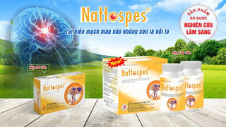 Đột quỵ thiếu máu não và giải pháp cải thiện từ Nattospes