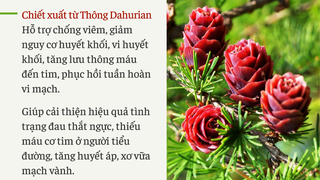 Người bệnh tim mạch, tiểu đường khi là F0 cần phải biết điều này