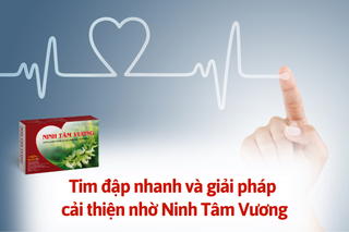 Tìm hiểu về tim đập nhanh và giải pháp từ Ninh Tâm Vương 
