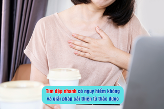 Tim đập nhanh có nguy hiểm không và giải pháp hỗ trợ cải thiện từ thảo dược 