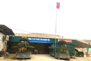 Công ty CP Tân Khánh Yên đẩy nhanh tiến độ thu hồi quặng để phục vụ đầu tư dự án