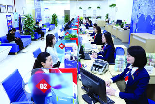 Hoàn thiện khuôn khổ pháp lý để bảo đảm an toàn cho hoạt động của các tổ chức tham gia Bảo hiểm tiền gửi